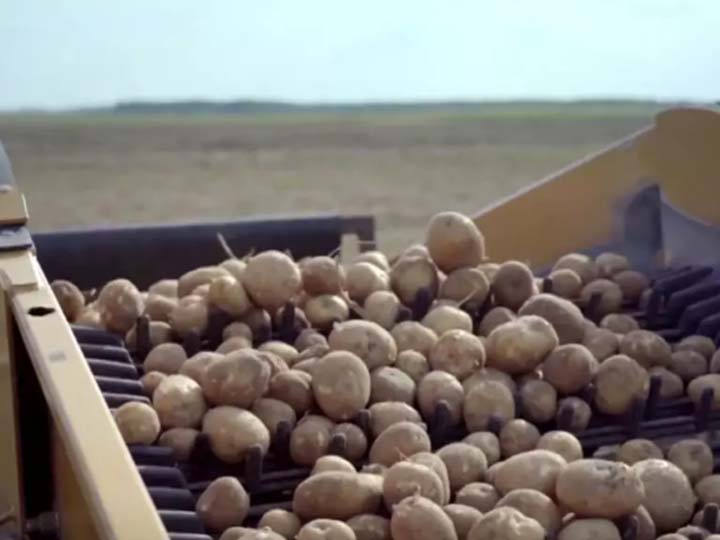 Chaîne d'approvisionnement en pommes de terre